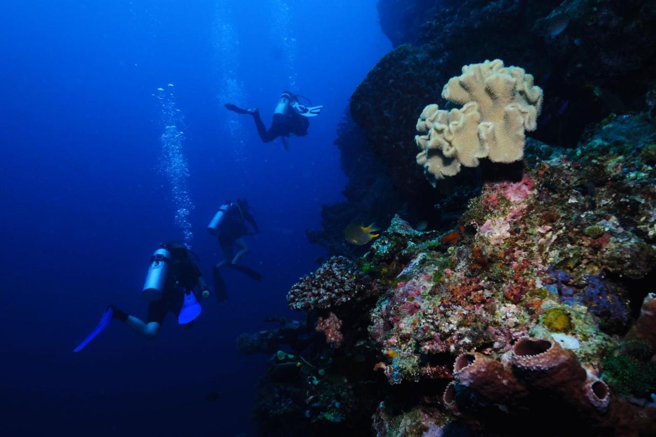 Sanctum Una Una Eco Dive Resort Pulau Unauna Exterior foto