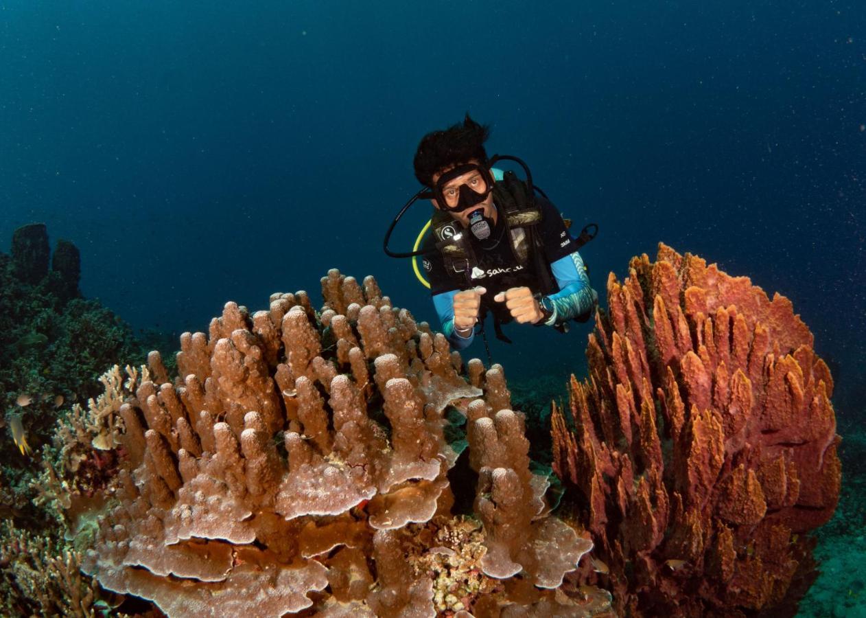 Sanctum Una Una Eco Dive Resort Pulau Unauna Exterior foto