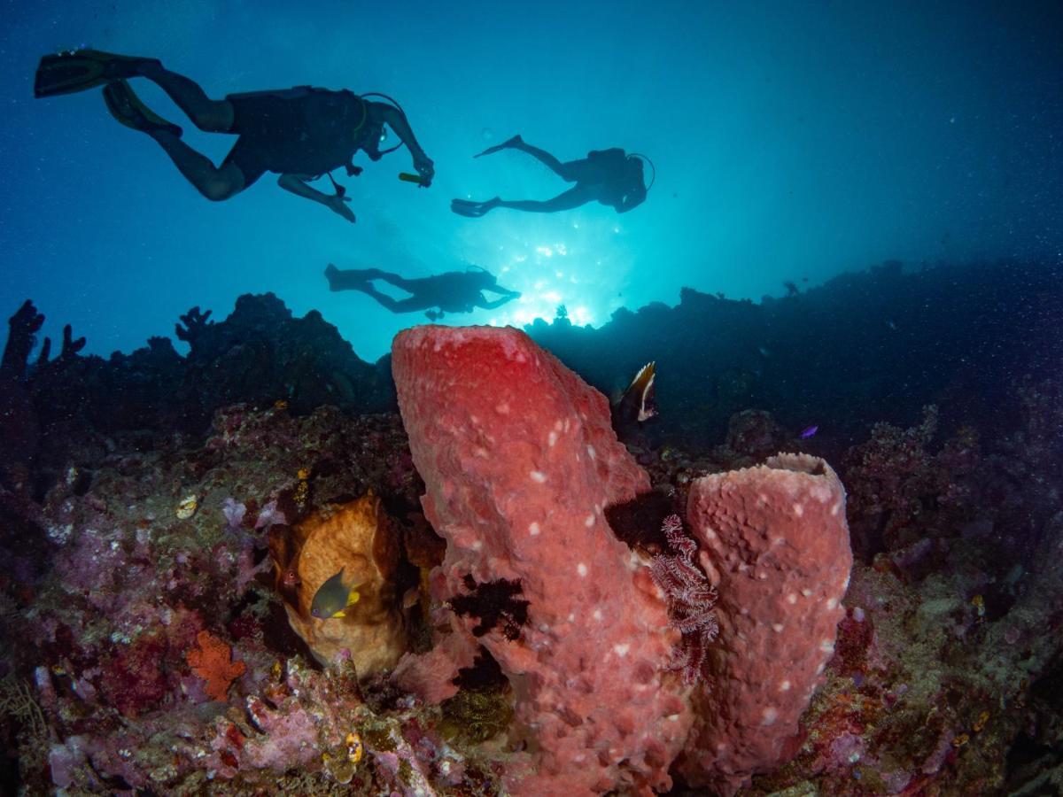 Sanctum Una Una Eco Dive Resort Pulau Unauna Exterior foto