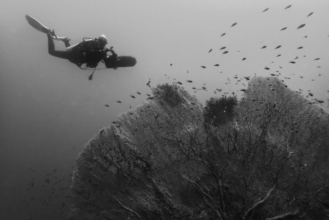Sanctum Una Una Eco Dive Resort Pulau Unauna Exterior foto