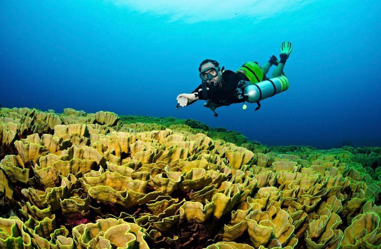 Sanctum Una Una Eco Dive Resort Pulau Unauna Exterior foto