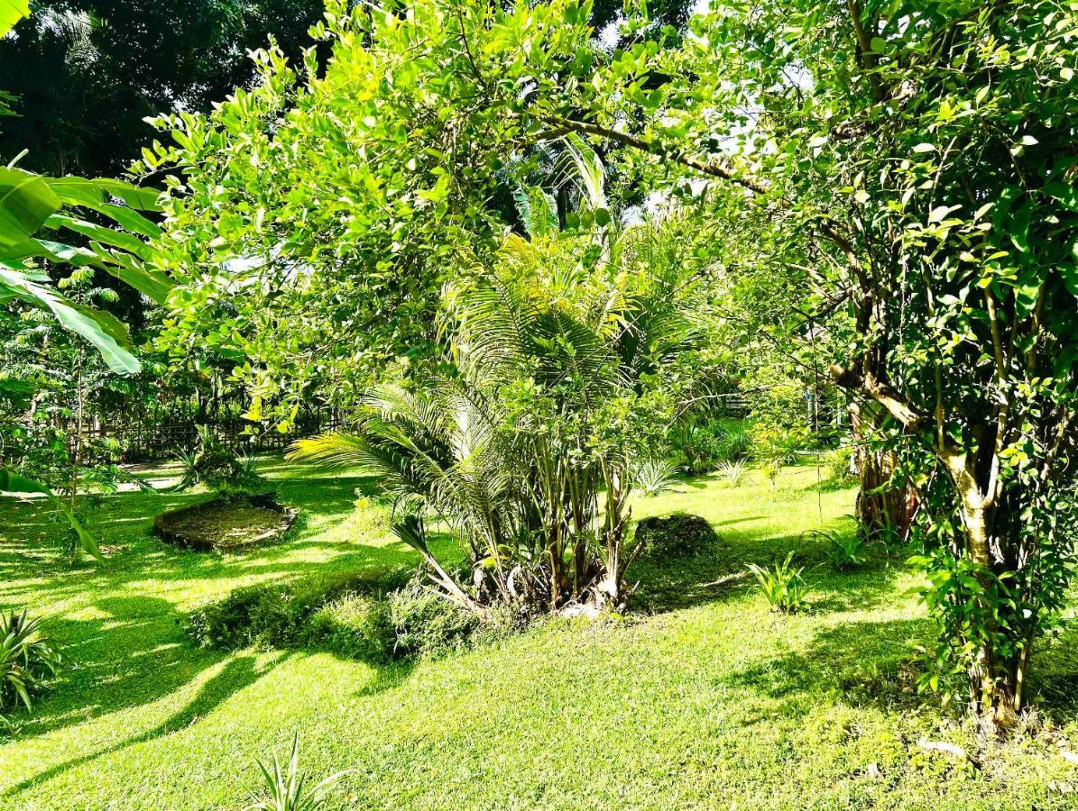 Sanctum Una Una Eco Dive Resort Pulau Unauna Exterior foto
