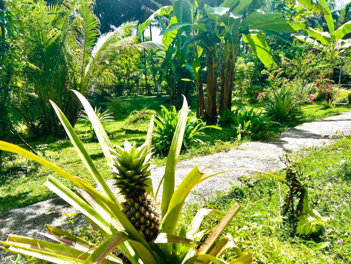 Sanctum Una Una Eco Dive Resort Pulau Unauna Exterior foto