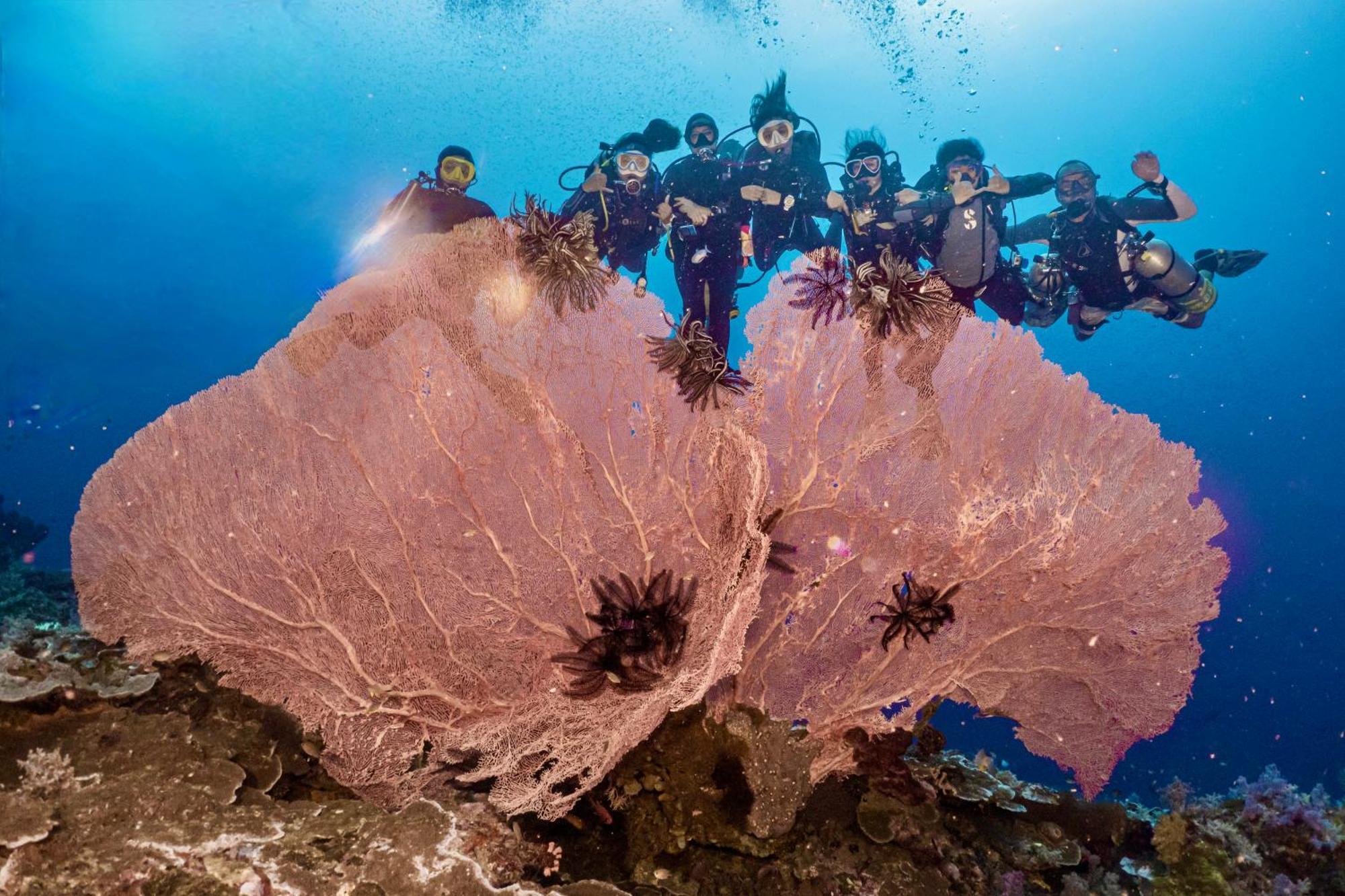 Sanctum Una Una Eco Dive Resort Pulau Unauna Exterior foto