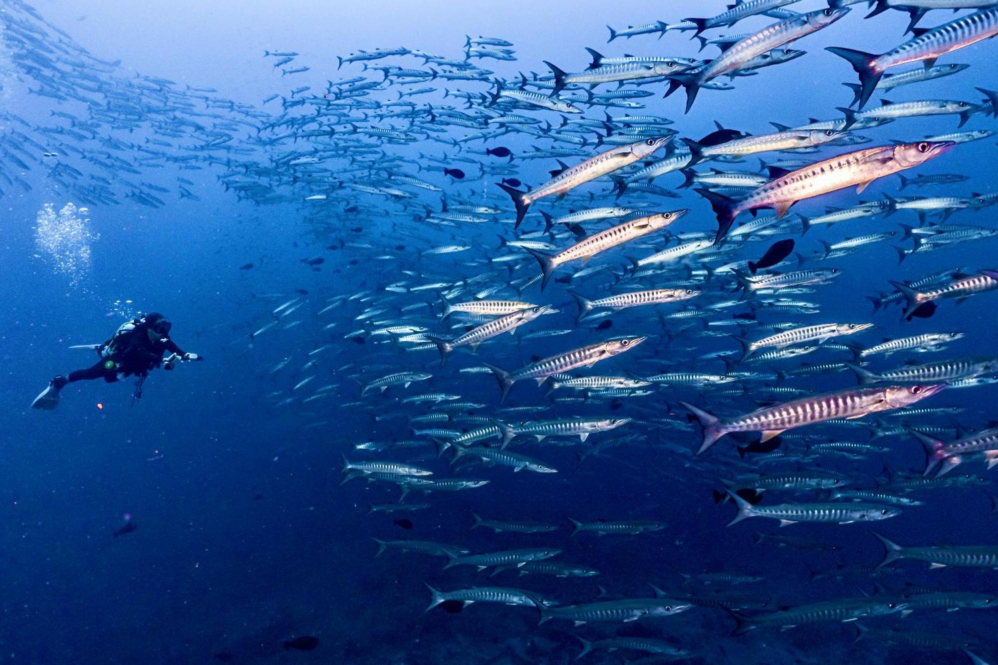 Sanctum Una Una Eco Dive Resort Pulau Unauna Exterior foto